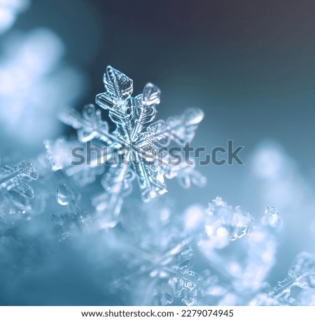 macro close up of snowflakes