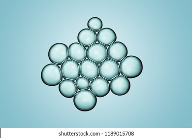 Macro Close Up Of Soap Bubbles Look Like Scientific Image Of Cells Division Process, Concept Of Microbiology Bacteria Paramecium And Protozoa