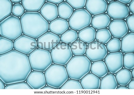 Macro close up of soap bubbles look like scientific image of cell and cell membrane