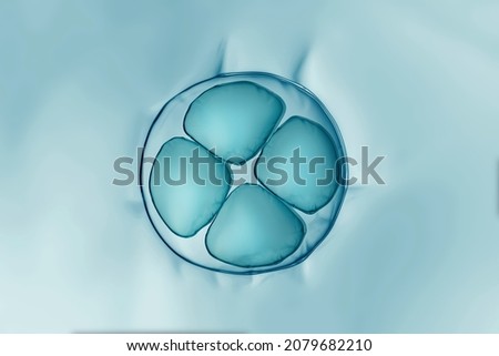 Macro close up of soap bubbles look like scientific image of embryo cells division process, Concept of cell divides into two cells