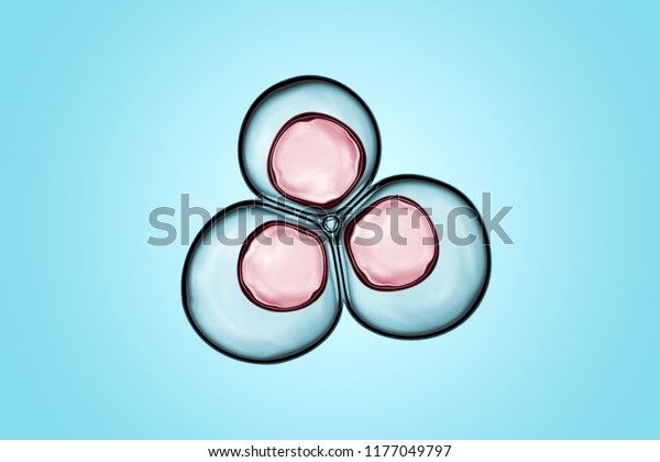 Macro close up of soap bubbles look like scientific\
image of cells division process, Concept of cell divides into two\
cells