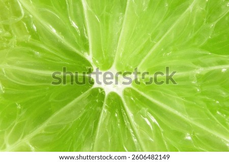 Macro close up surface texture Juicy slice of lime