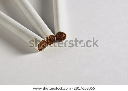 Macro close up of three unlit cigarettes with tobacco on a white background.