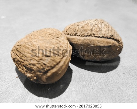Macro close up of two whole nutmeg seeds with rough brown shell on light gray surface. Myristica fragrans, spice, and ingredient. Herbal, aromatherapy, and culinary background 
Top view of two dry whole nutmeg seeds with textured shell on white table. Spice, cooking ingredient, and traditional medicine. Herbal, aromatic, and organic food background.