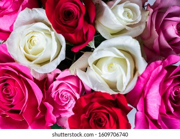 A macro close up view of a bouquet of pink, red and white roses for Valentine's Day.