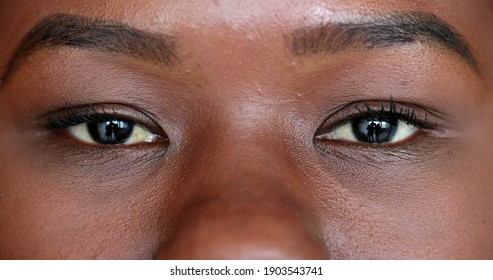 Macro Close-up Black African Woman Eyes Staring At Camera