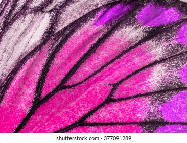 Macro closeup of butterfly wing texture background pattern.