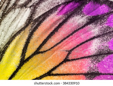 Macro Closeup Of Butterfly Wing Texture Background Pattern.