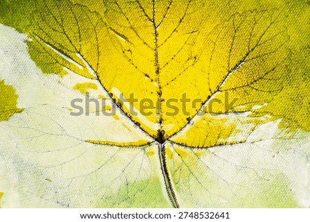 Macro closeup of ceramic plate surface with leaf imprint veins and yellow green glaze texture decorative tableware