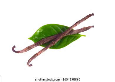 macro closeup of a delicious fresh vanilla orchid black dark brown beans seeds pods stick spice herb with green leaves isolated on white