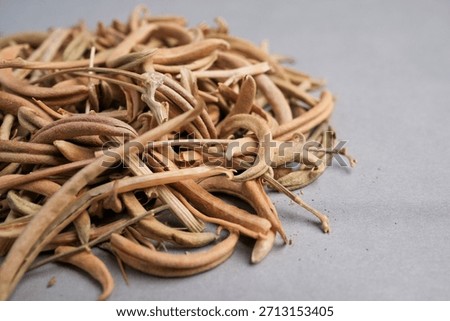 Macro Close-up of Dried Devil's Claw (Harpagophytum procumbens) Fruit Pods Used for Natural Herbal Remedies.