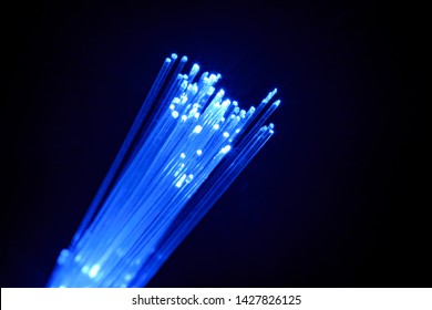 Macro Closeup Fiber Optic Cable Wire  