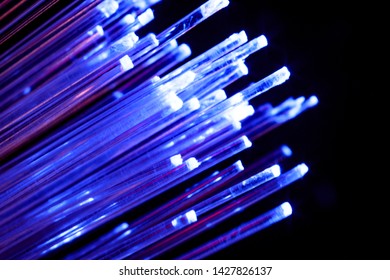 Macro Closeup Fiber Optic Cable Wire  