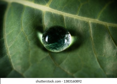 Macro closeup of garden scene - Shutterstock ID 1383160892