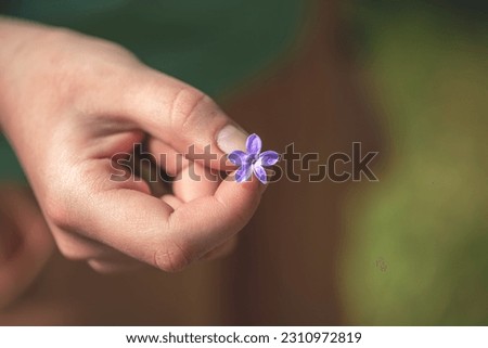macro closeup of a hand holding a beautiful purple pink lucky five petals Syringa lilac flower branch