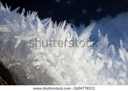 A macro closeup image of long needles of bright white ice crystals formed by an overnight frost in the depth of winter. Sunlight glistens off the crystals forming deep shadows in the background.