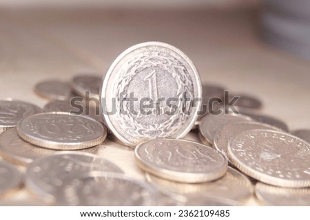 Macro close-up of a Polish zloty coin