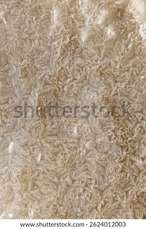 Macro close-up of salt crystal formations on the shores of the Dead Sea, Jordan. Natural mineral texture with intricate crystalline patterns formed by evaporation in the world's saltiest body of water
