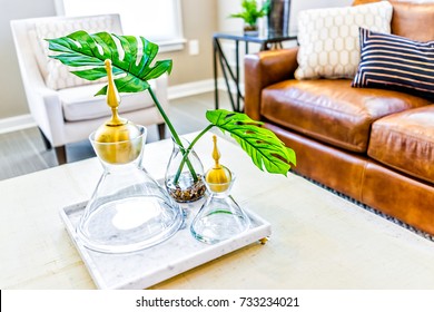 Macro closeup of serving tray stand with empty glasses and plant in staging model house or apartment by brown leather couch