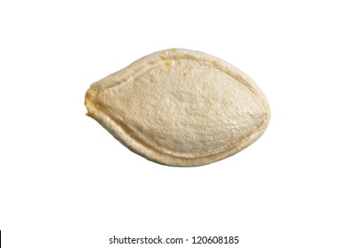 Macro Closeup Of Single Raw Whole Pumpkin Seed Isolated On White