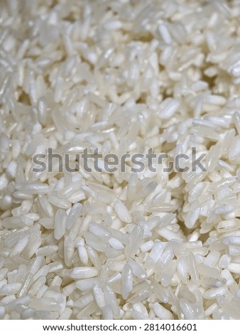 Macro close-up texture of raw white rice grains with selective focus