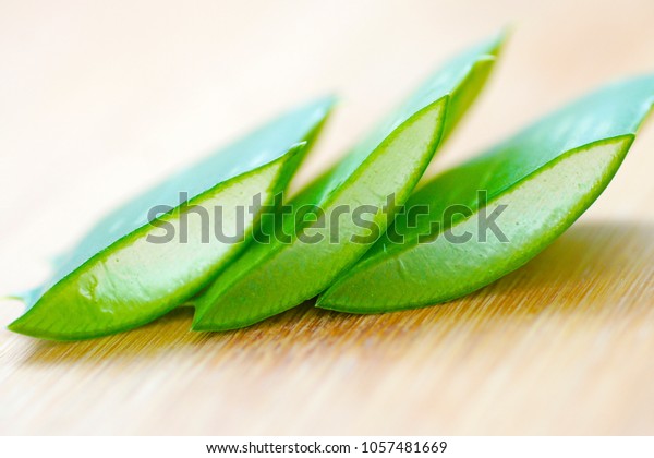 Macro Closeup Thorny Succulent Juicy Cut Stock Photo Edit Now
