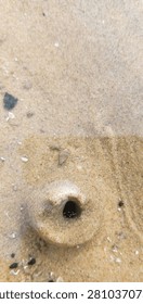 Macro close-up of a unique sand structure with a small marine organism inside, intertidal zone wildlife photography.