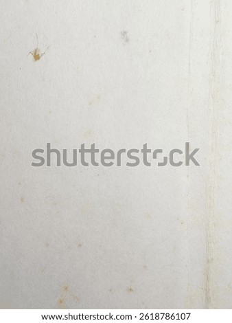 A macro close-up view of aged stamp paper reveals faint vertical lines, light discolorations, and subtle imperfections characteristic of vintage philatelic material.