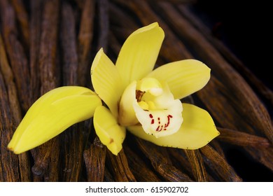 a macro closeup of yellow orchid and brown black vanilla pods beans sticks 