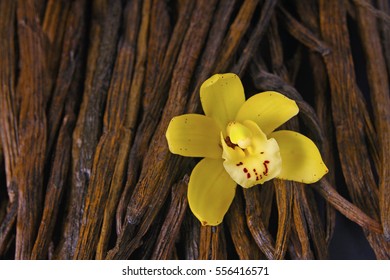 macro closeup of a yellow orchid flower and brown vanilla seed pods arrangement background