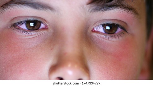 
Macro Close-up Of Young Boy Face Eyes Detail Staring At Tablet Device Screen Watching Content Online