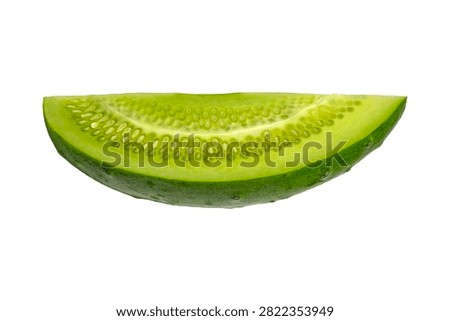 Macro cucumber slice showing epidermis rind parenchyma seeds vascular detail