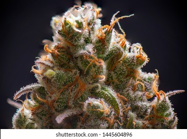 Macro Detail Of Cannabis Flower (sour Diesel Strain) Isolated Over Black Background, Medical Marijuana Concept