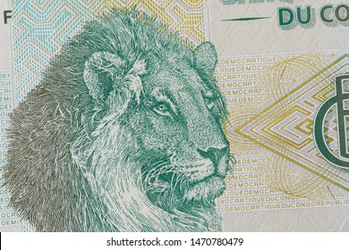 2003 Congo D.R 20 francs Lion cat animal banknote bill