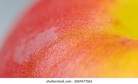 MACRO, DOF: Detailed shot of a ripe organic peach sitting on the dining table. Delicate fuzz covers the skin of an organic peach. High detail close up view of a juicy peach. Delicious summer fruit. - Shutterstock ID 2069477063
