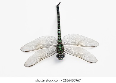 Macro Dragon Fly Black And Green