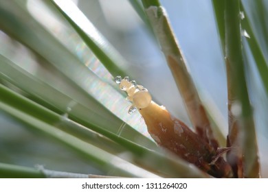 Macro drop of resin
