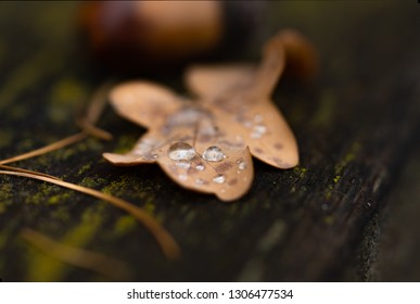 Macro droplets on a leaf  