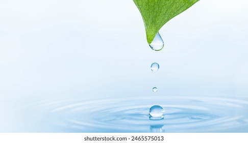 macro drops of water falling from a leaf onto a clean water surface. natural macro background