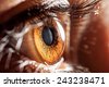 eye iris brown
