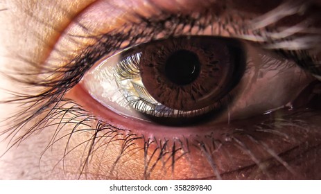Macro of an eye