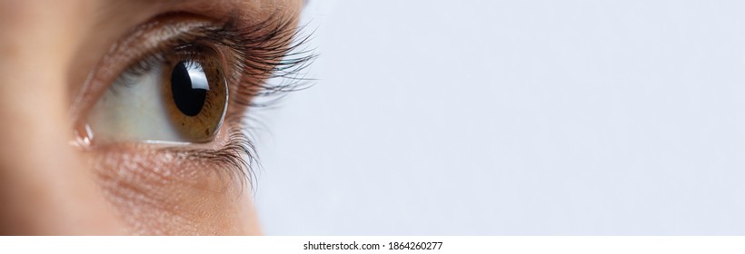 Macro eye photo. Keratoconus - eye disease, thinning of the cornea in the form of a cone. The cornea plastic. Ophthalmology banner
