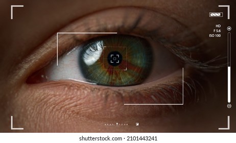 Macro eye recognition system checking user retina taking shot verifying. Smart innovate future technology scanning iris identifying person login network. Biometrical innovation futuristic concept.