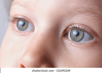 Macro Eyes Of A Child