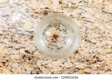 Macro Flat Top Closeup Of Two Large Lone Star Ticks In Glass Jar Cup Engorged With Blood On Granite Countertop Table Counter