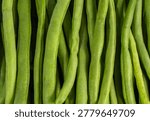 Macro full frame background texture of raw, fresh green beans. A detailed close-up showing the natural green color and organic surface of this healthy produce.