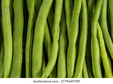 Macro full frame background texture of raw, fresh green beans. A detailed close-up showing the natural green color and organic surface of this healthy produce.