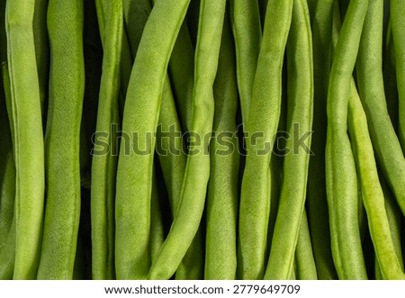 Macro full frame background texture of raw, fresh green beans. A detailed close-up showing the natural green color and organic surface of this healthy produce.