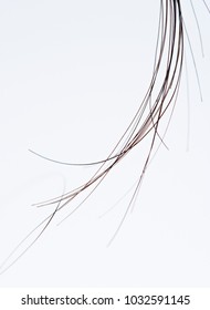 5,435 Black hair strands Images, Stock Photos & Vectors | Shutterstock