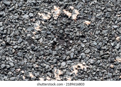 Macro Of Hail Damage On A Shingle Residential Roof Circled With A Chalk Outline During A Home Inspection.